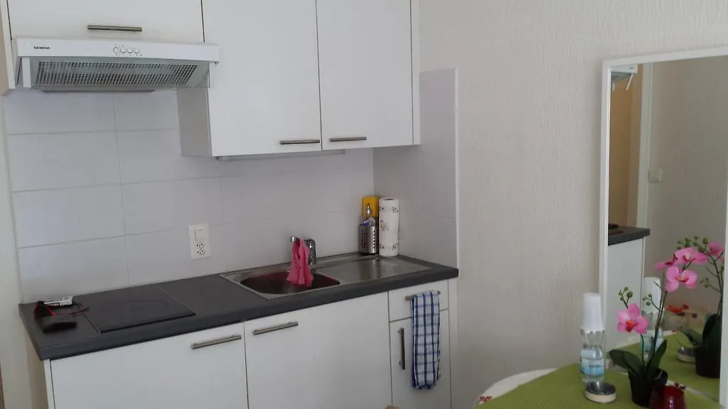 Studio Quartier Jonction Hotel Ginevra 0*,  Svizzera