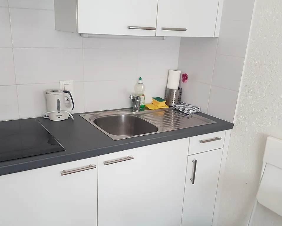 Studio Quartier Jonction Hotel Ginevra Svizzera
